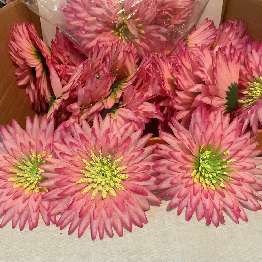 (48) Total, 5” Wide Pink DAISY with Hot Pink tipped edges Stemless flowers.